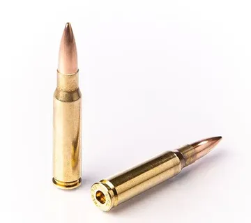 Karabinsko streljivo FIOCCHI 308 Win PERFECTA HPBT 10,9g / 168gr - cover