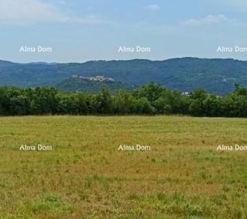 Buzet! Građevinsko zemljište, 1200m2. - cover