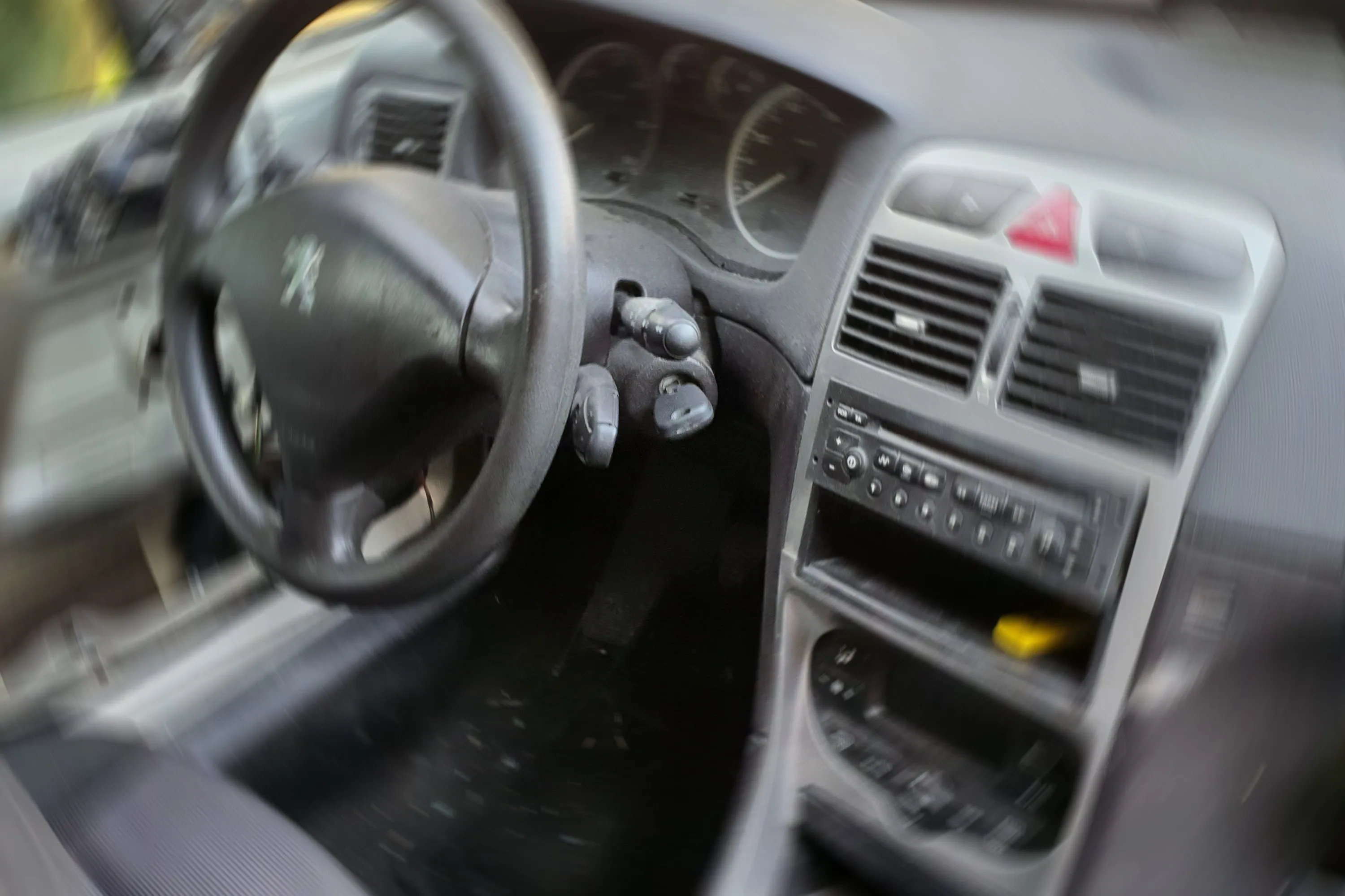 Peugeot 307 panorama Sw - cover