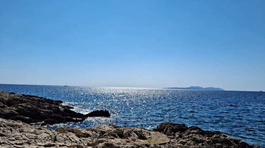 Fotografija