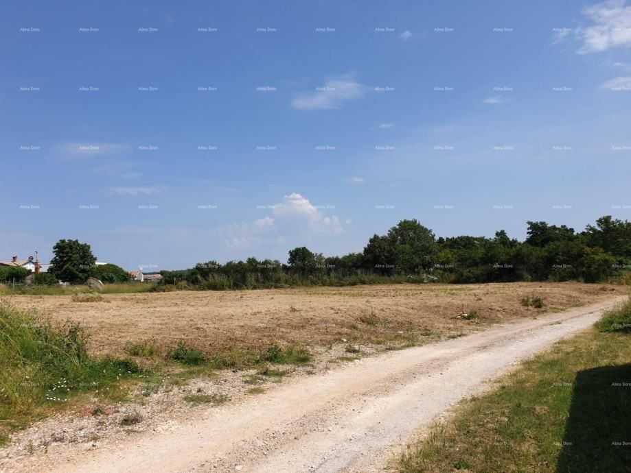 Fotografija