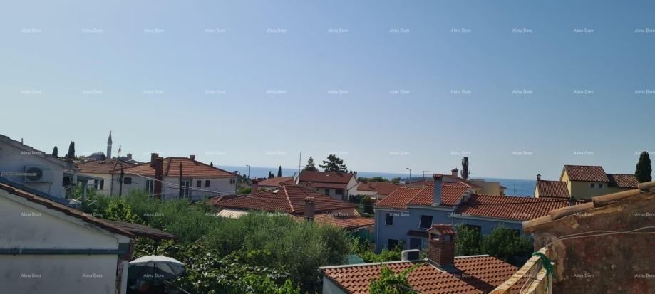Fotografija