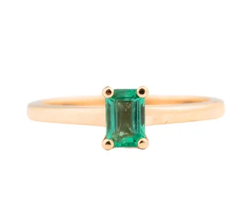 Zlatni prsten Florentina - cover