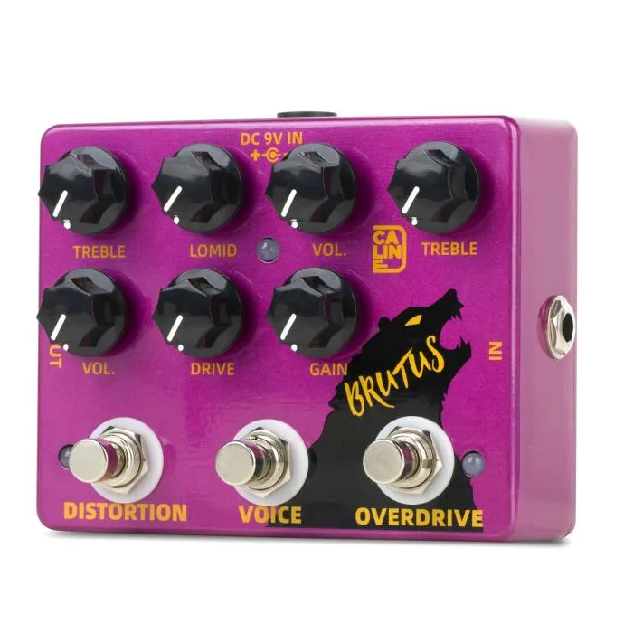CALINE DCP-02 BRUTUS DISTORTION OVERDRIVE - cover