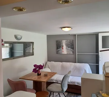 IZNAJMLJIVANJE STANA - cover