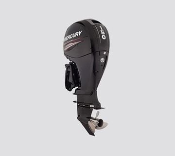 MERCURY F150 L EFI - cover