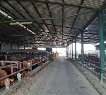 Poslovni prostor: Berak, Farma tovnih goveda, 3.624 m2 - cover