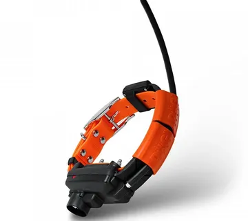 Dogtrace X30TB navigacija za pse - dodatna ogrlica - cover