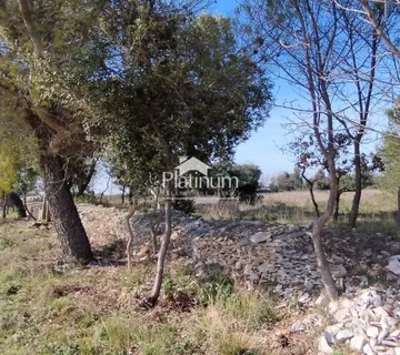 Istra,Kavran poljoprivredno zemljište na prodaju - cover