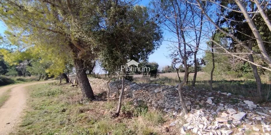 Fotografija