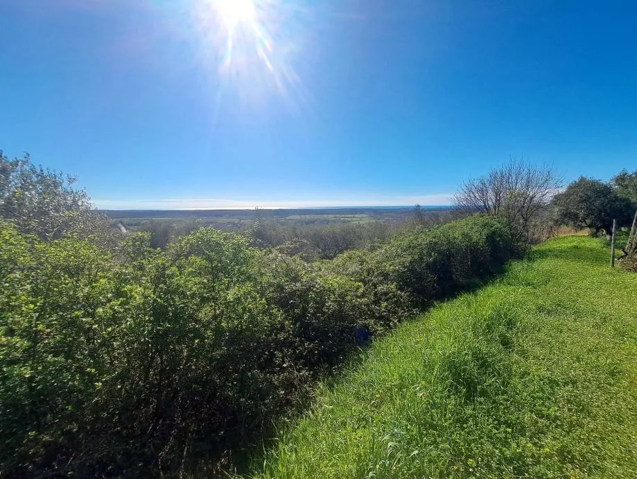BUJE GRAĐEVINSKO ZEMLJIŠTE SA PANORAMSKIM POGLEDOM NA MORE - cover