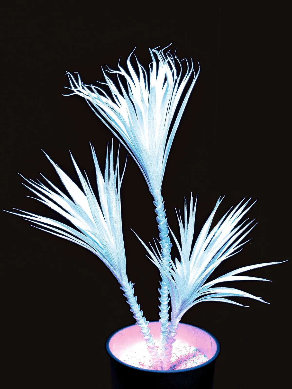EUROPALMS Yucca palm tree, uv-white, 90cm - cover