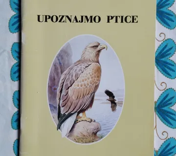 Upoznajmo ptice - više autora - cover