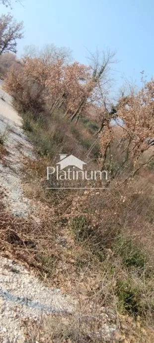 Fotografija