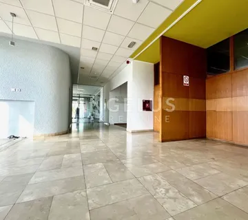 Zagreb, Žitnjak - poslovni prostor 243m2 - cover