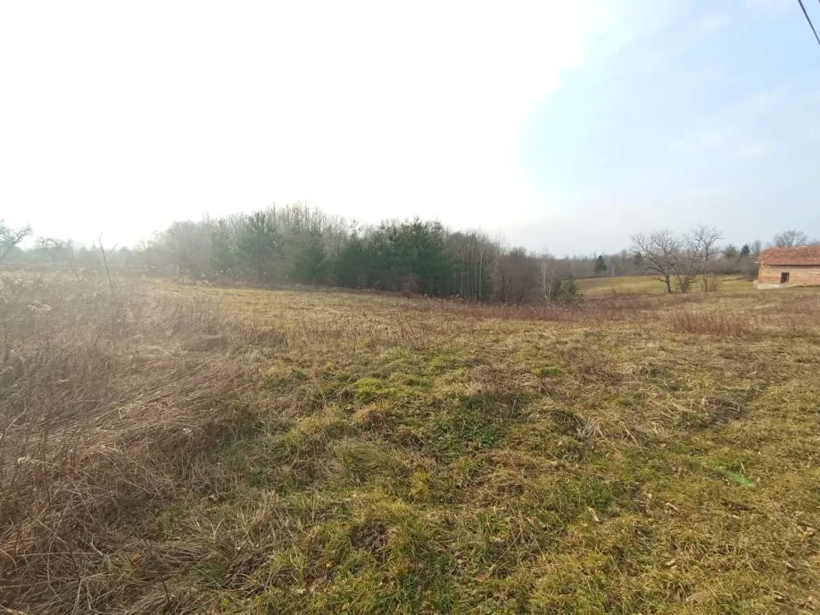 Građevinsko zemljište, Prkos Lasinjski, 1587 m2 - cover