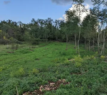 Istra Labin, građevinsko zemljište 1586 m2 - cover