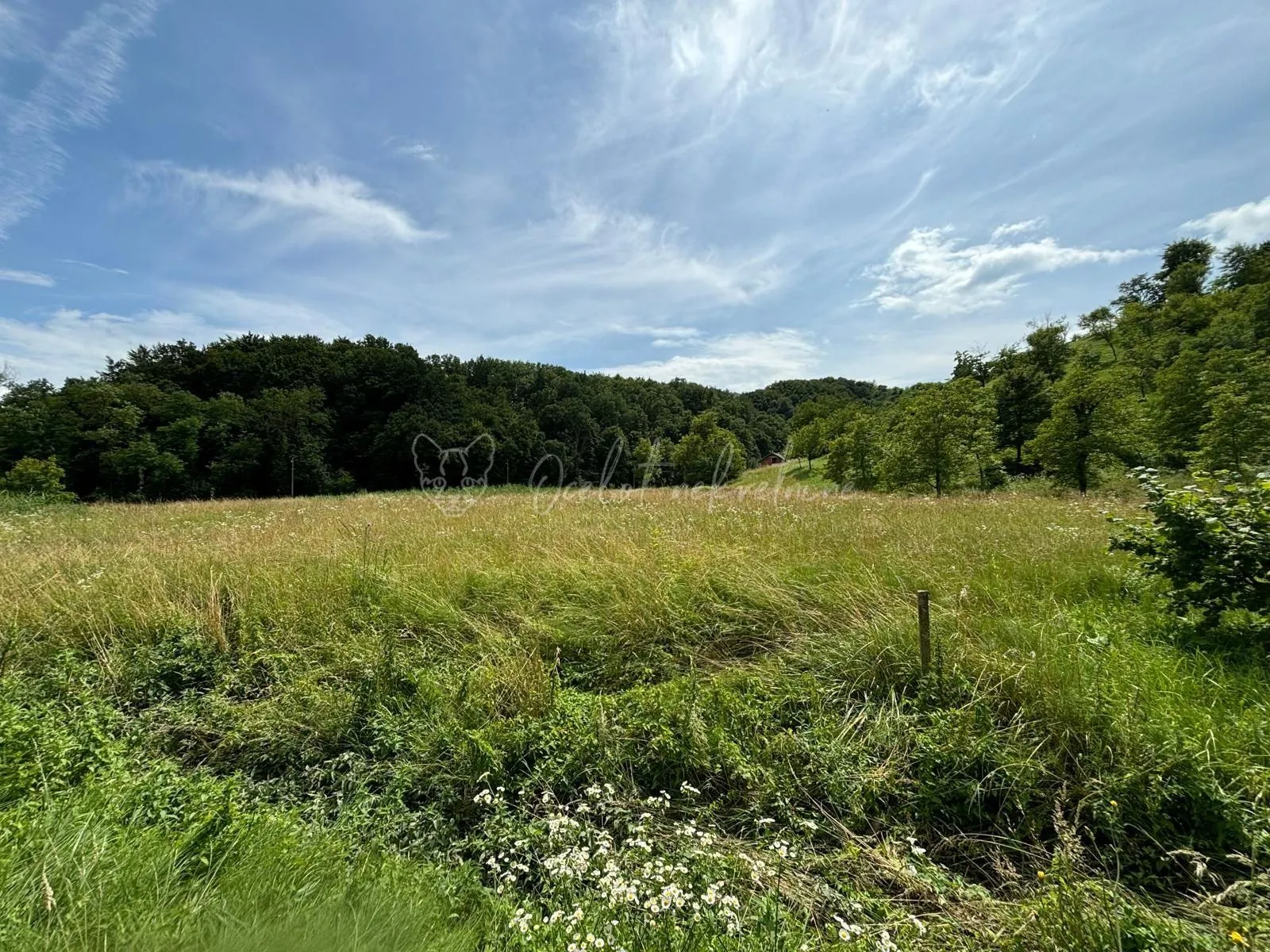 Građevinsko zemljište M1, 3350m2, Gornja Dubrava - cover