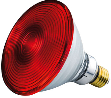 Zamjenska žarulja 150W za snažnu infracrvenu lampu - cover