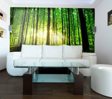Zidne tapete beautiful green forest SW243 - cover