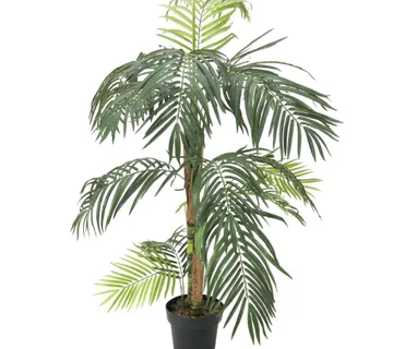 EUROPALMS Areca palm tree, 2 trunks 155cm - cover