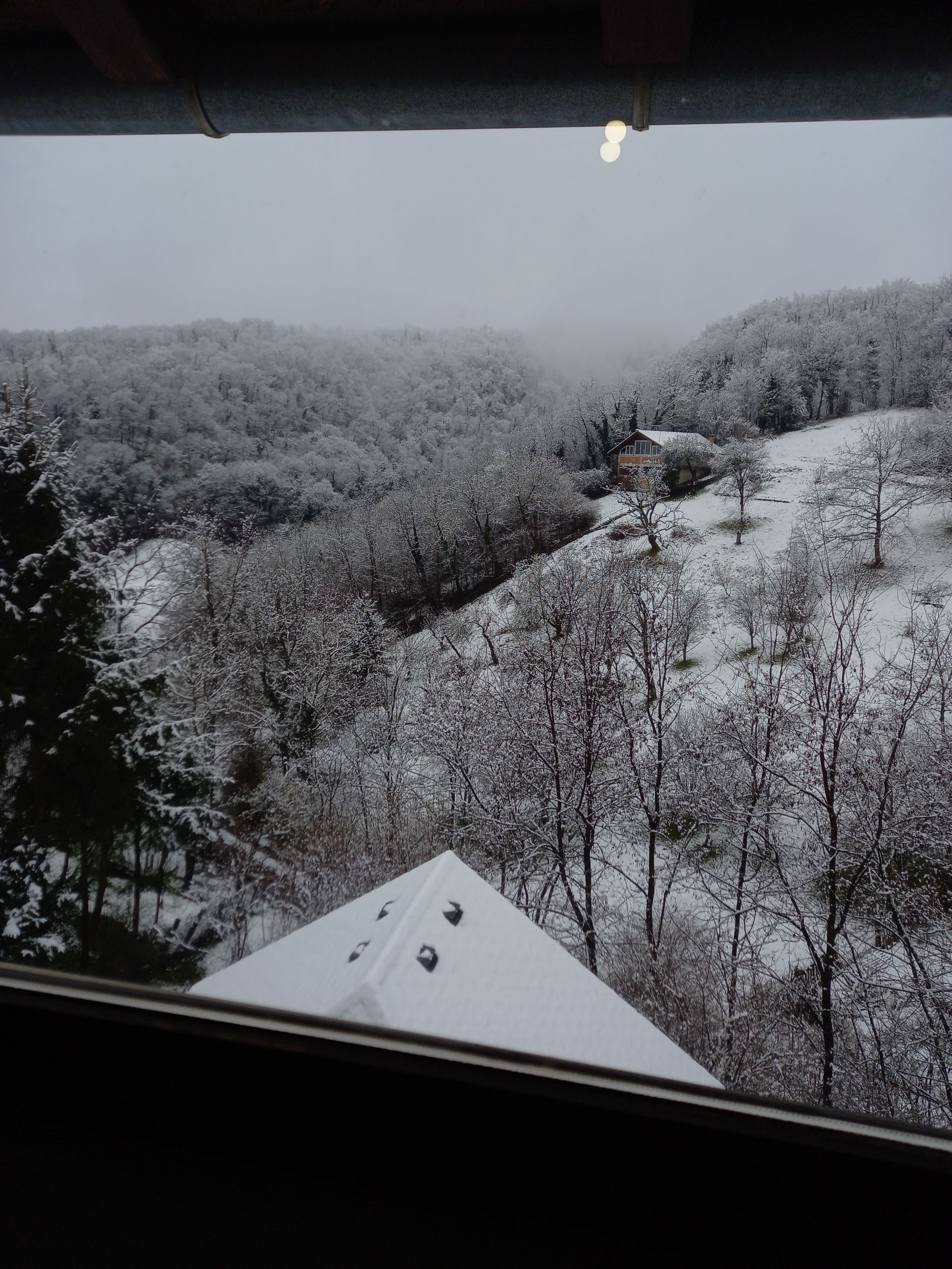 Fotografija