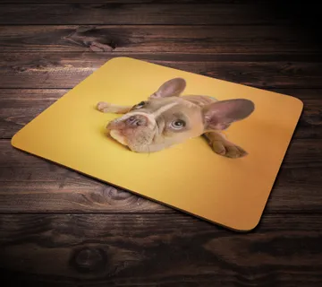 Podloga za miš sa fotografijom kućnog ljubimca - cover