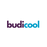 budi.cool-avatar