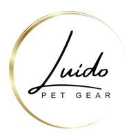luido-avatar