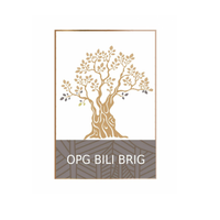 opg.bilibrig-avatar