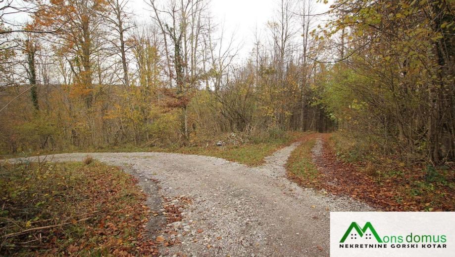 ulaganje u budućnost.. 144.635 m2 šume! - slika 2