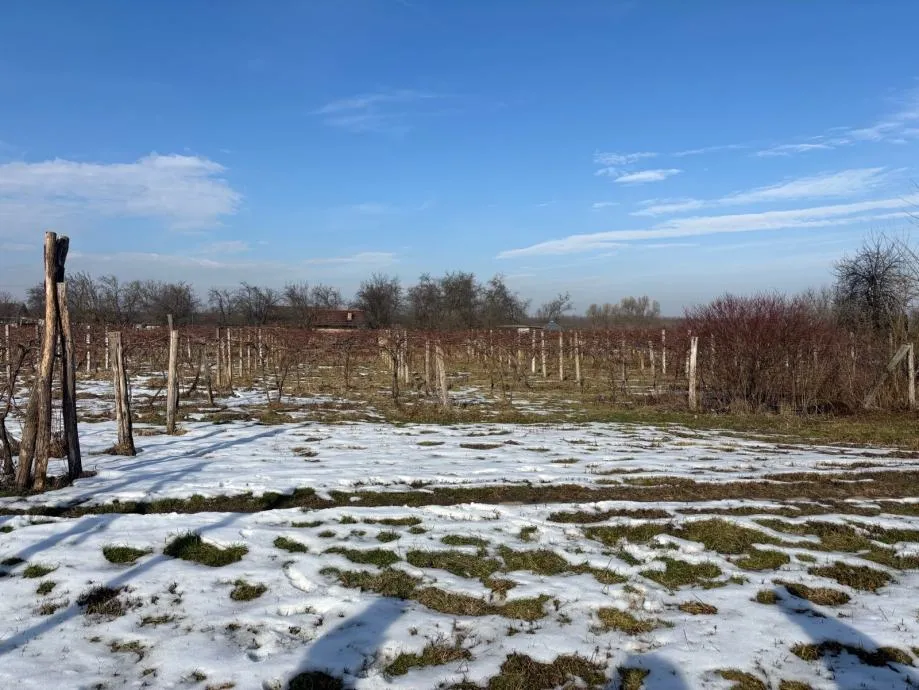 građevinsko zemljište, josipovac, 6000 m2 - slika 2