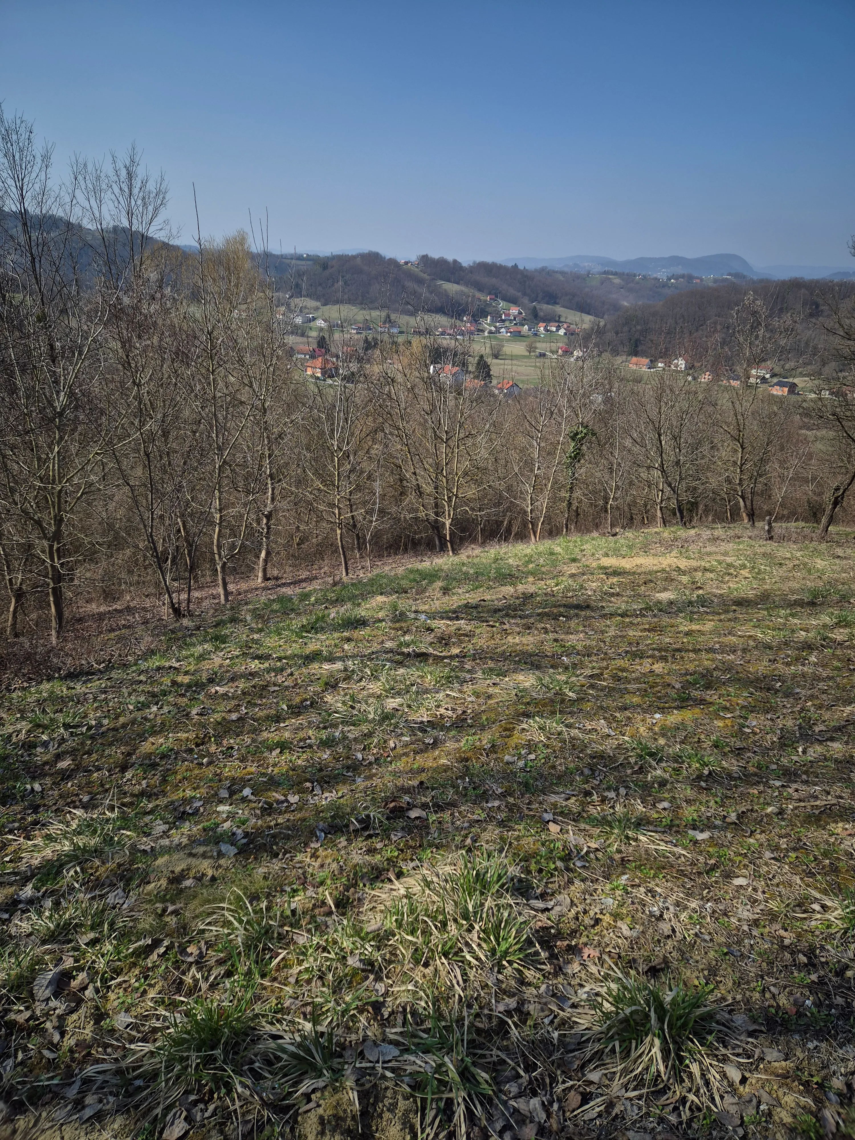 šuma i voćnjak - slika 2