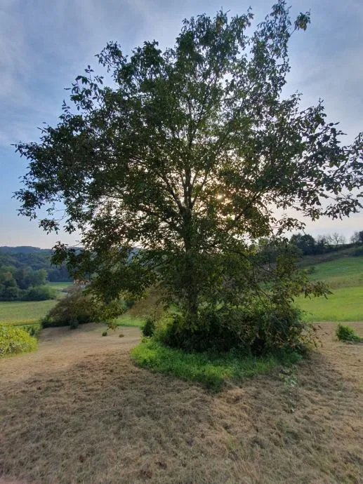 građevinsko zemljište, merenje, 4200 m2 - slika 6