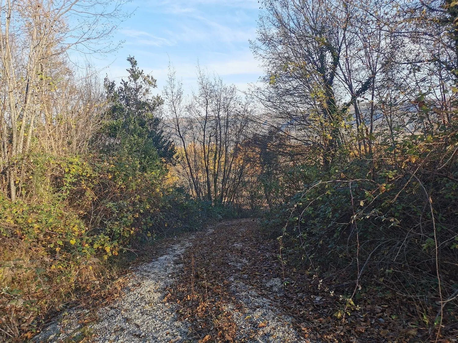 vižinada- građevinsko zemljište na osami - slika 2