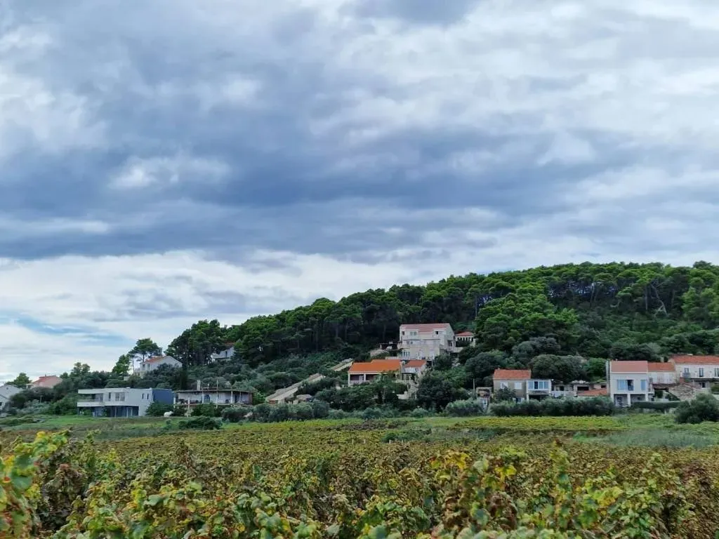 kuća na prodaju - lumbarda - slika 16