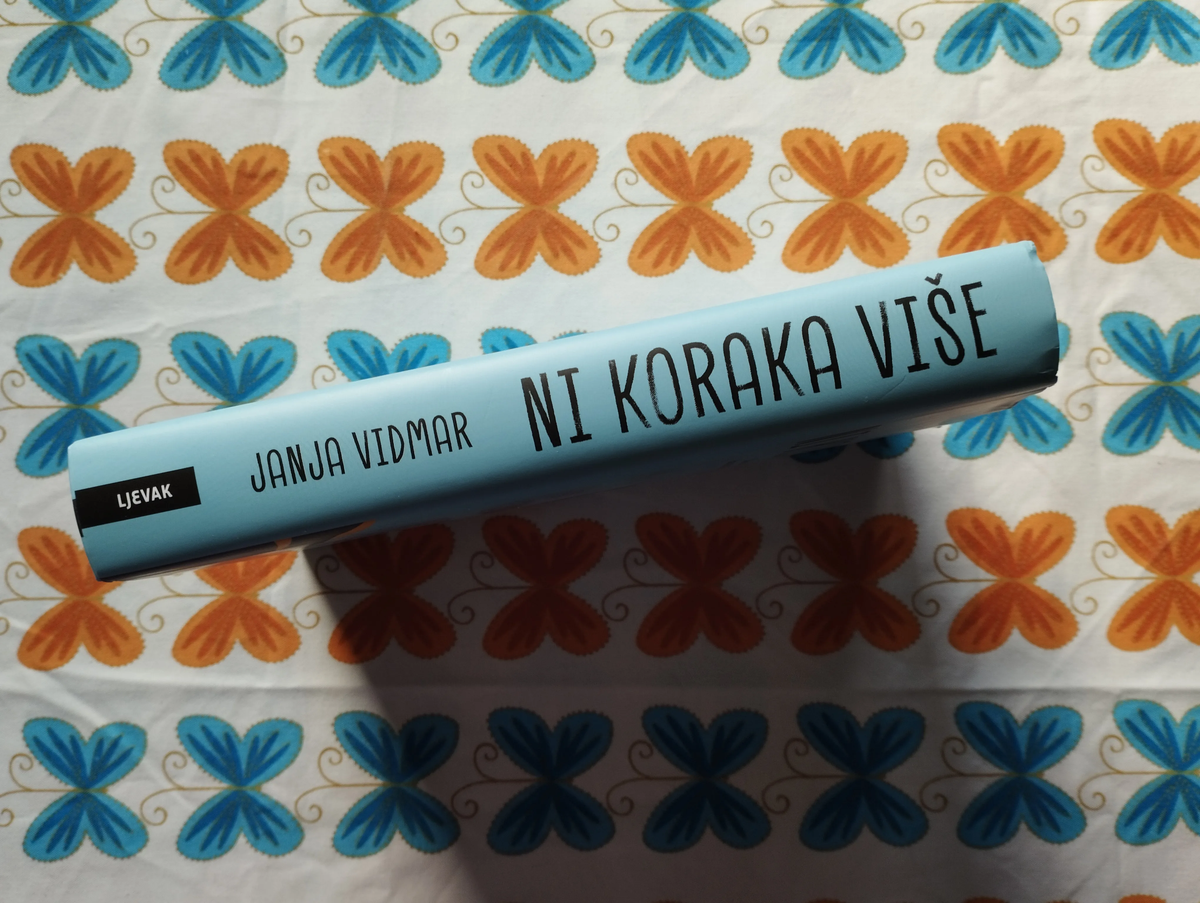 janja vidmar - ni koraka više - slika 2