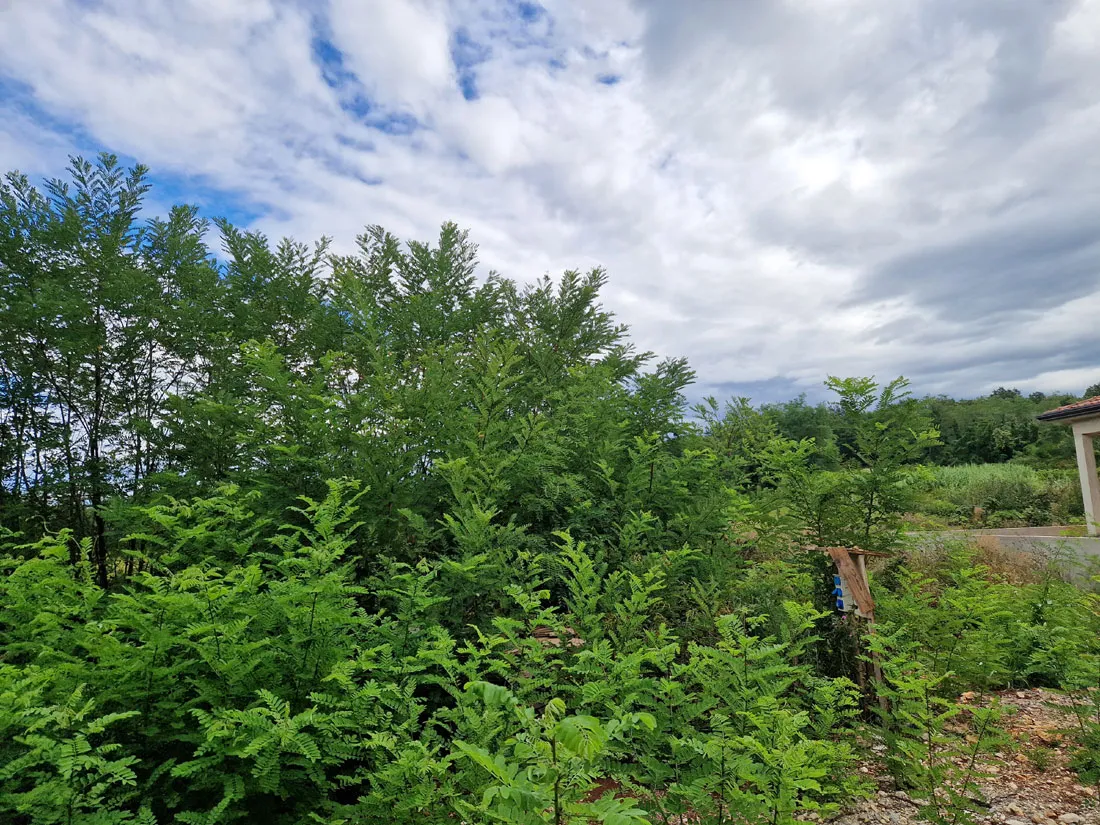 prodaja, građevinsko zemljište, višnjan okolica, 582 m², z-659 - slika 3