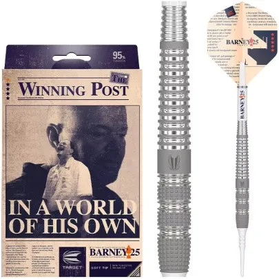 raymond van barneveld 25 95% 18g - slika 3