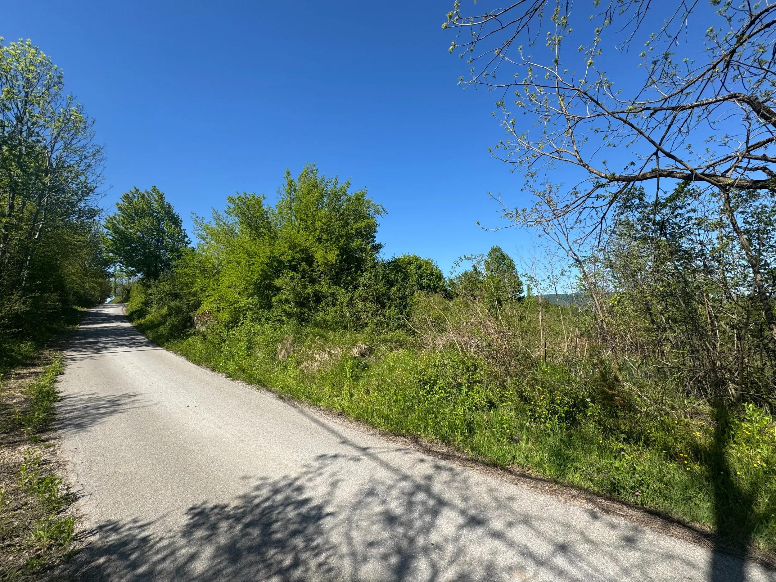 tri zemljišta,vrbovsko(ljubošina),ukupne površine 2294m2 - slika 2