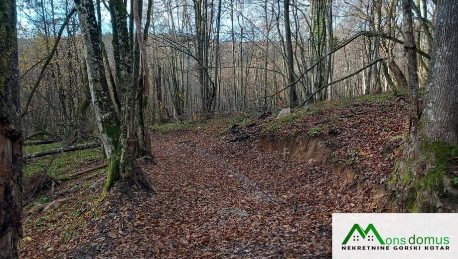 ulaganje u budućnost.. 144.635 m2 šume! - slika 3