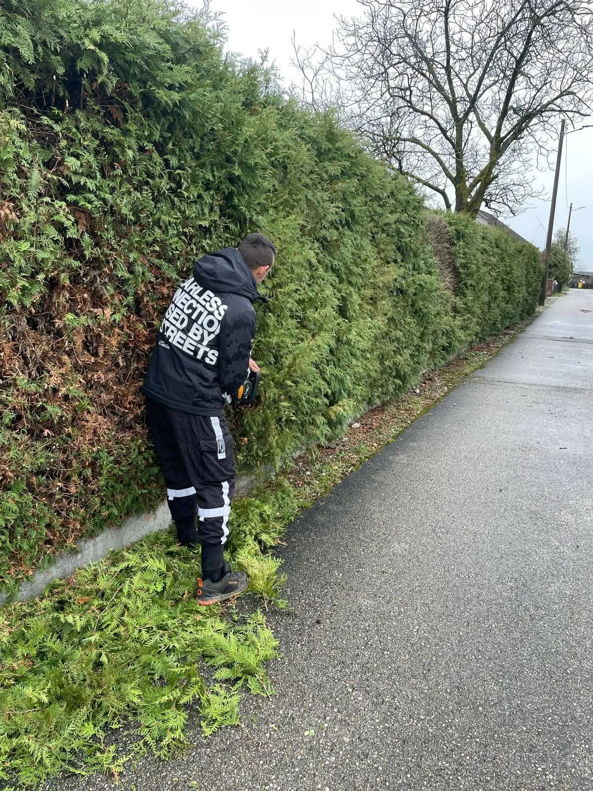 🌿 trebaš uredan i njegovan vrt bez muke? 🌿 - slika 6