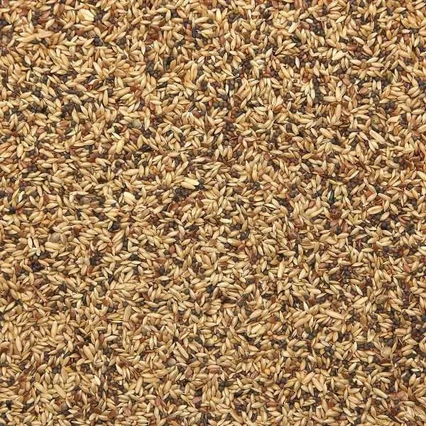 premium hrana za kanarince | 1kg extra mix 446 | as-shop - slika 3