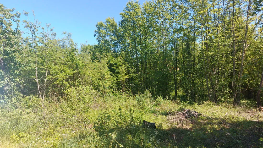 z-654, pazin – stancija pataj, građevinsko zemljište 1488m2 - slika 5