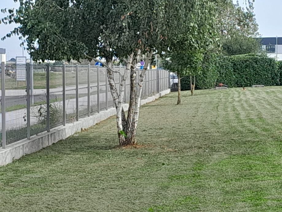 šišanje i oblikovanje živica 095/333-4444 - slika 12