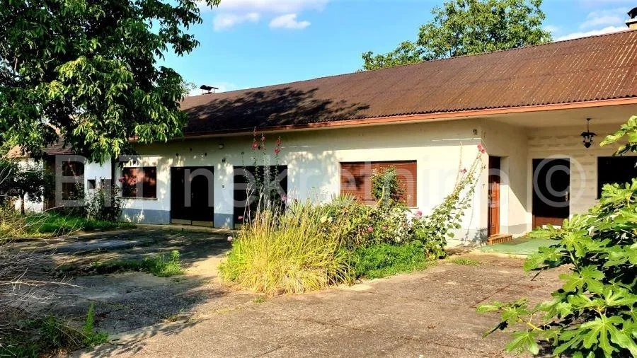 kuća prodaja subotica podravska 220m2 (prodaja) - slika 6