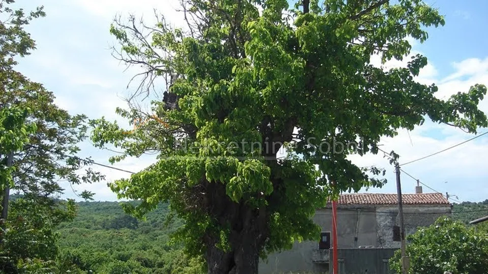 Podol, Otok Cres - Građevinsko, 492 m2 Prodaja - Mali Podol, Cres