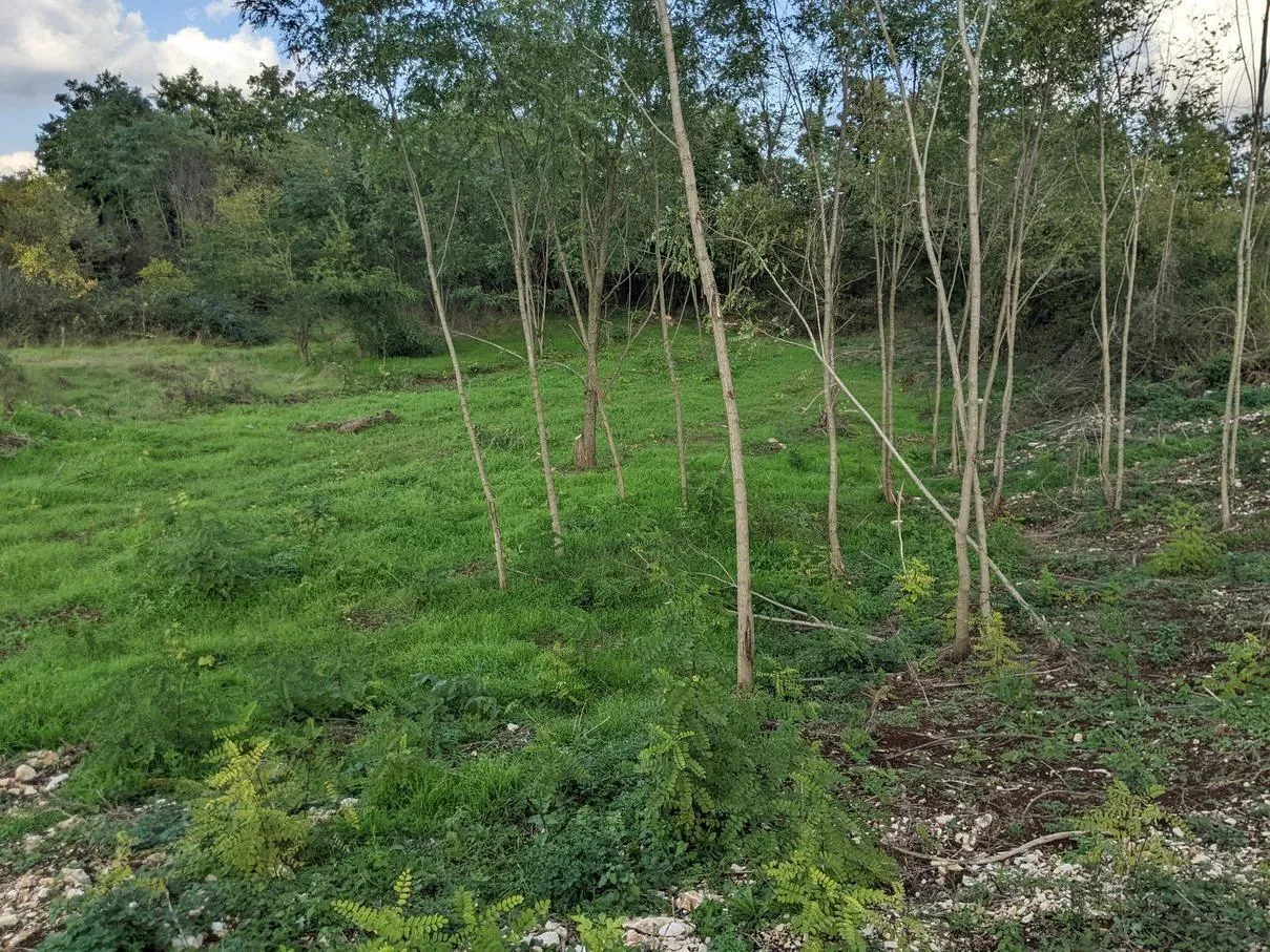 istra labin, građevinsko zemljište 1586 m2 - slika 3
