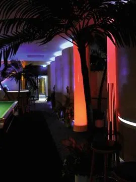 europalms palm, 2 trunks, 305cm - slika 2