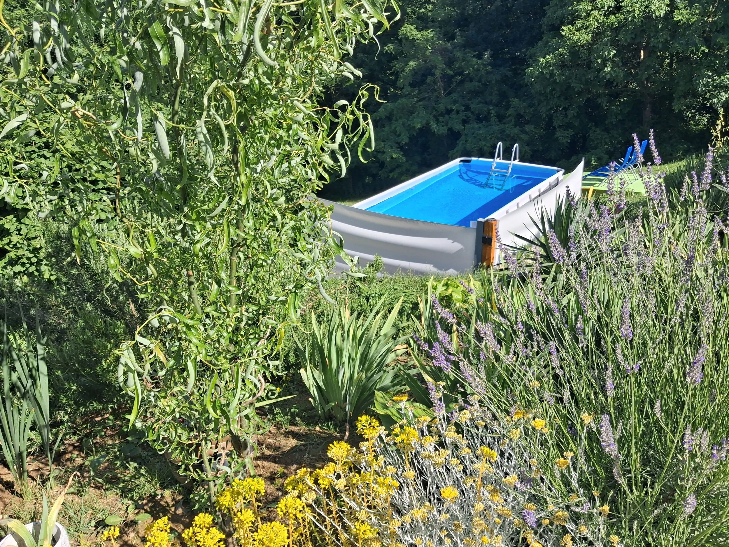 studio apartman stari breg,segovina - slika 16